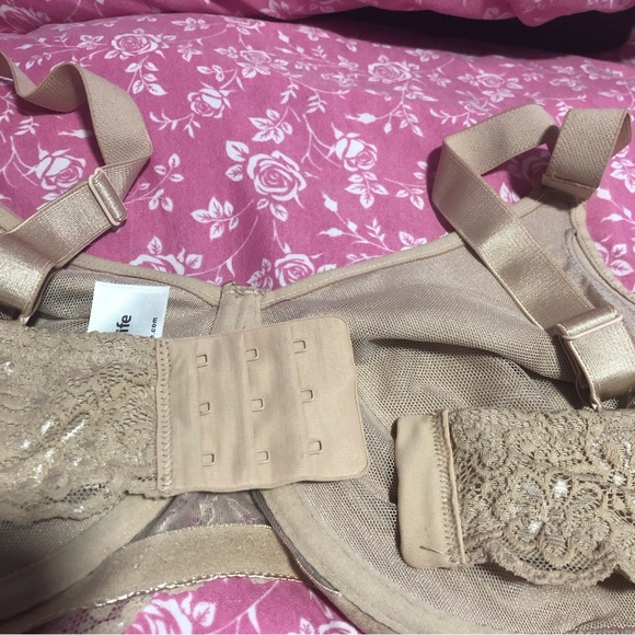 Bra - Picture 10 of 11